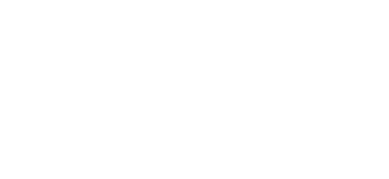 تیرا پیمنٹ logo